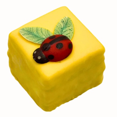 Lieveheersbeestje soiree, vierkant