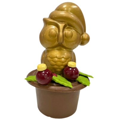 Chocolade uil